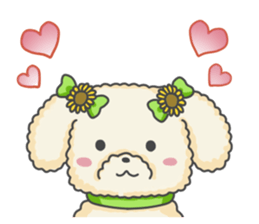 Moko of Toy Poodle sticker #9784349
