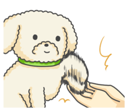 Moko of Toy Poodle sticker #9784353