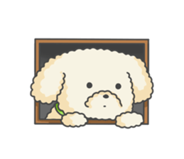 Moko of Toy Poodle sticker #9784354