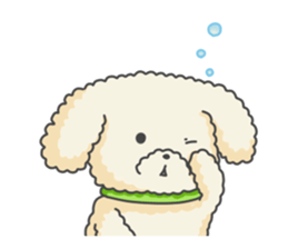 Moko of Toy Poodle sticker #9784356