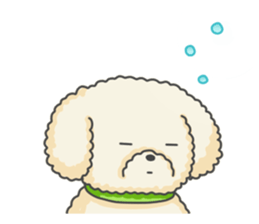 Moko of Toy Poodle sticker #9784357