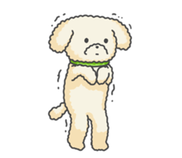 Moko of Toy Poodle sticker #9784364