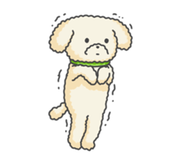 Moko of Toy Poodle sticker #9784365