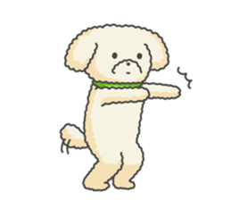 Moko of Toy Poodle sticker #9784366
