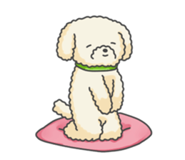 Moko of Toy Poodle sticker #9784367
