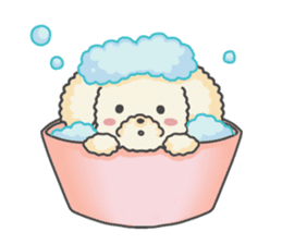 Moko of Toy Poodle sticker #9784369