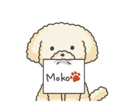 Moko of Toy Poodle sticker #9784372