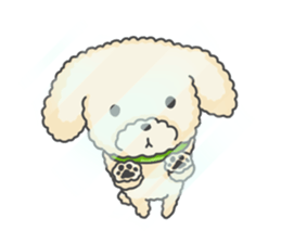 Moko of Toy Poodle sticker #9784373
