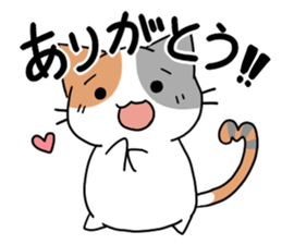 AKASE TOTO