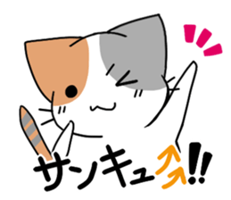 Daily tortoiseshell cat sticker #9786737