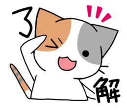 Daily tortoiseshell cat sticker #9786739
