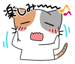Daily tortoiseshell cat sticker #9786741