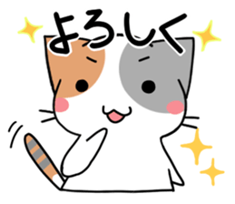 Daily tortoiseshell cat sticker #9786742