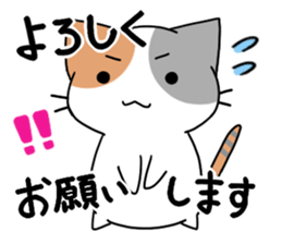 Daily tortoiseshell cat sticker #9786743