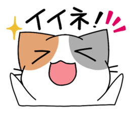 Daily tortoiseshell cat sticker #9786744