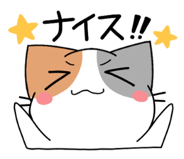 Daily tortoiseshell cat sticker #9786745