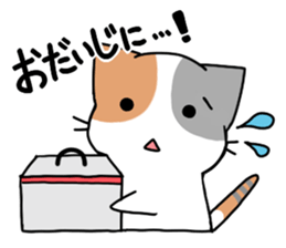 Daily tortoiseshell cat sticker #9786746