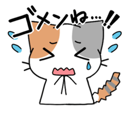 Daily tortoiseshell cat sticker #9786747