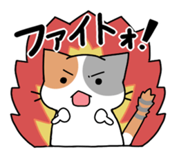 Daily tortoiseshell cat sticker #9786753