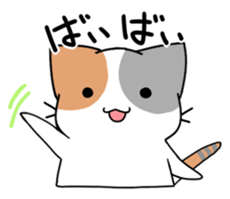 Daily tortoiseshell cat sticker #9786759