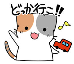 Daily tortoiseshell cat sticker #9786761