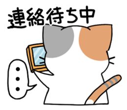 Daily tortoiseshell cat sticker #9786766