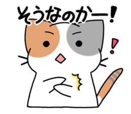 Daily tortoiseshell cat sticker #9786769