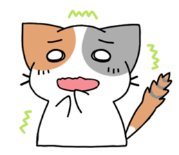 Daily tortoiseshell cat sticker #9786770