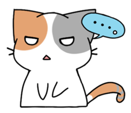 Daily tortoiseshell cat sticker #9786772