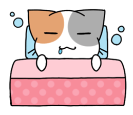 Daily tortoiseshell cat sticker #9786775