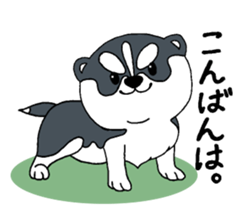 Siberian Husky baby. sticker #9787577