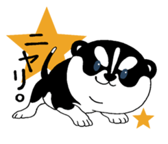 Siberian Husky baby. sticker #9787592