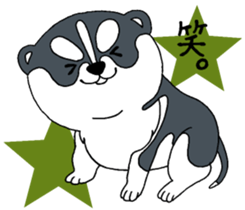 Siberian Husky baby. sticker #9787593