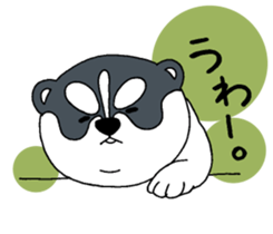 Siberian Husky baby. sticker #9787597