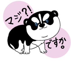 Siberian Husky baby. sticker #9787600