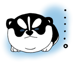 Siberian Husky baby. sticker #9787604