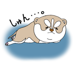 Siberian Husky baby. sticker #9787607