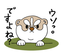 Siberian Husky baby. sticker #9787611