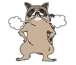 The Great Raccoon sticker #9788101