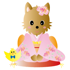 Yorkshire terrier ramu and her friends