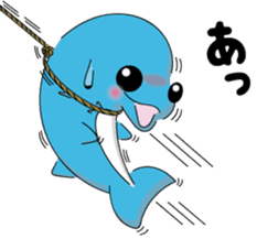 Dolphin Koo-chan<everyday conversation4> sticker #9791667