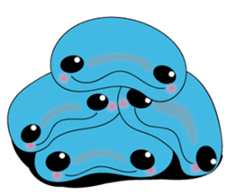 Dolphin Koo-chan<everyday conversation4> sticker #9791682