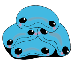 Dolphin Koo-chan<everyday conversation4> sticker #9791682