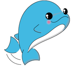Dolphin Koo-chan<everyday conversation4> sticker #9791684
