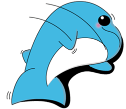 Dolphin Koo-chan<everyday conversation4> sticker #9791685