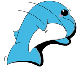 Dolphin Koo-chan<everyday conversation4> sticker #9791685