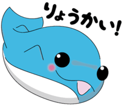 Dolphin Koo-chan<everyday conversation4> sticker #9791693