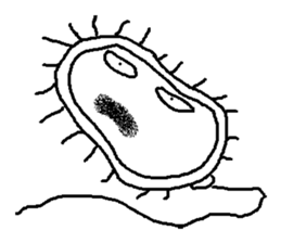 weirdo's wonder world sticker #9798671