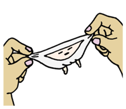 Mani Moni Jiaozi Party sticker #9799912