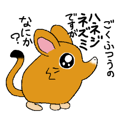 The rare animal "elephant shrew"